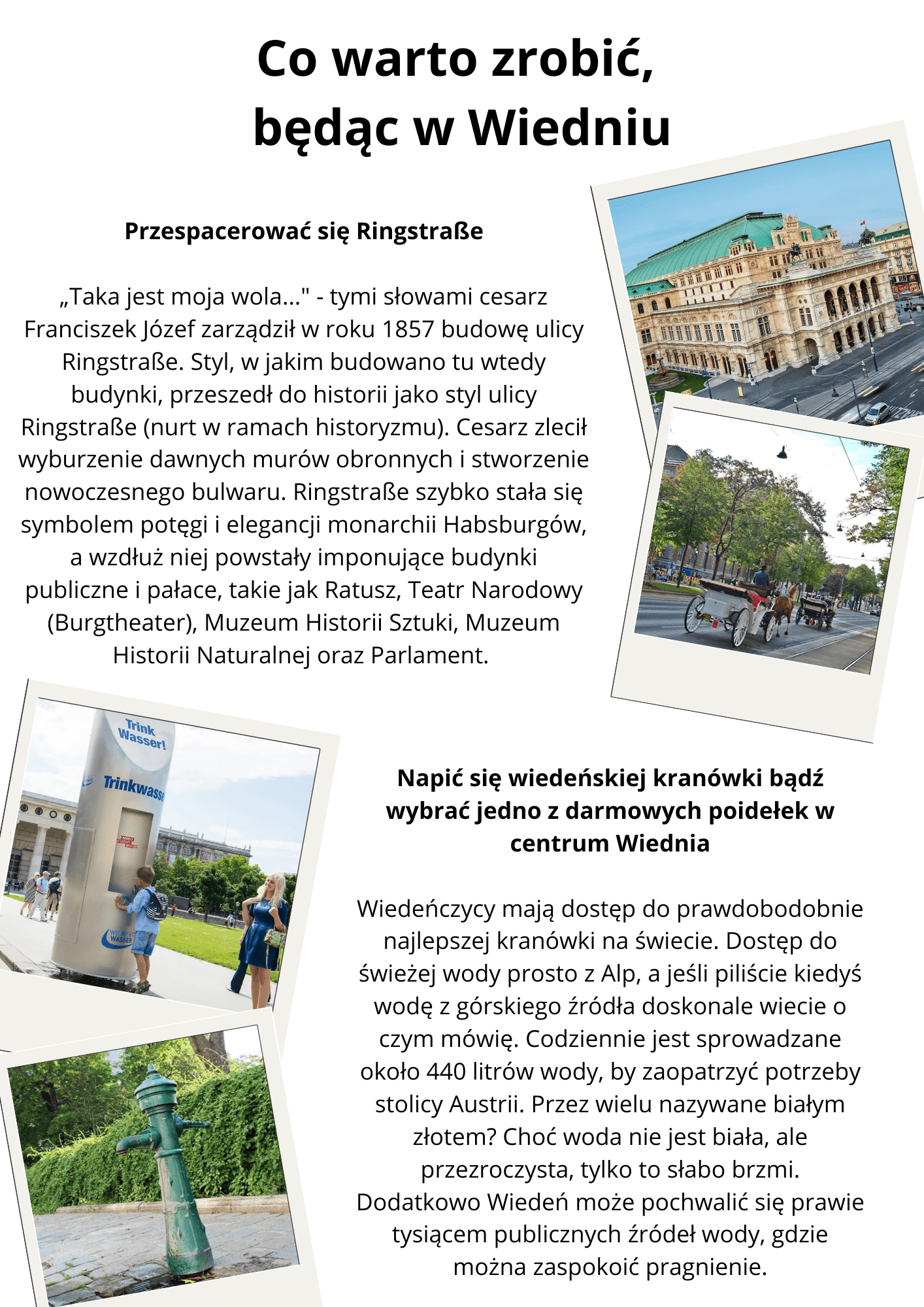 Z Habsburgami na wiedeńskiego sznycla - pakiet WIEDEŃ - obrazek 4